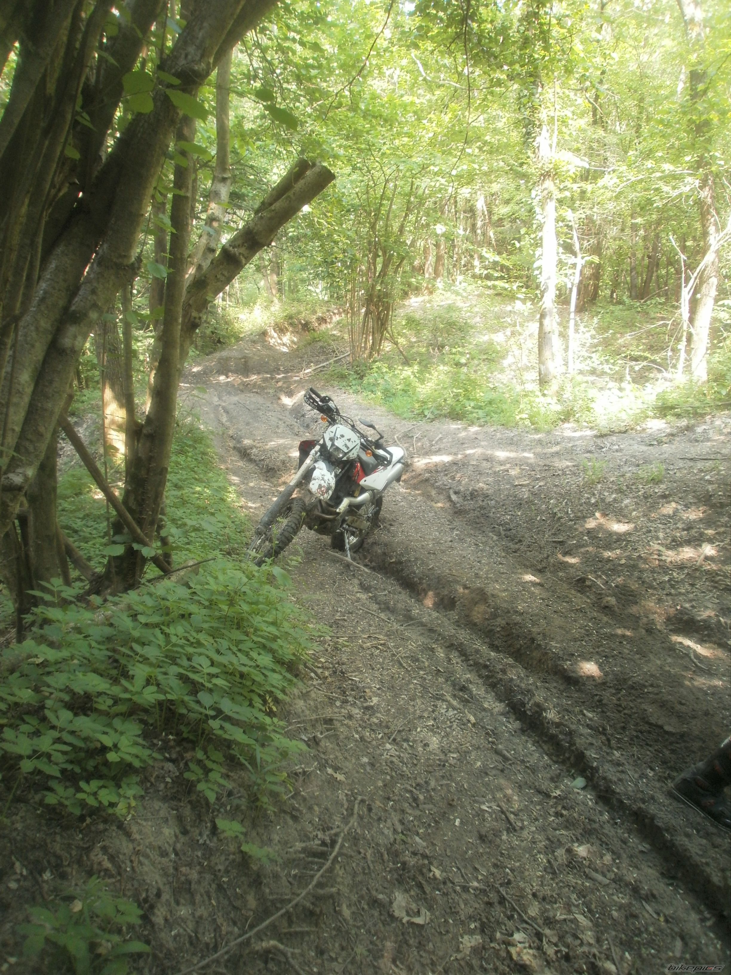 Photo 2214010