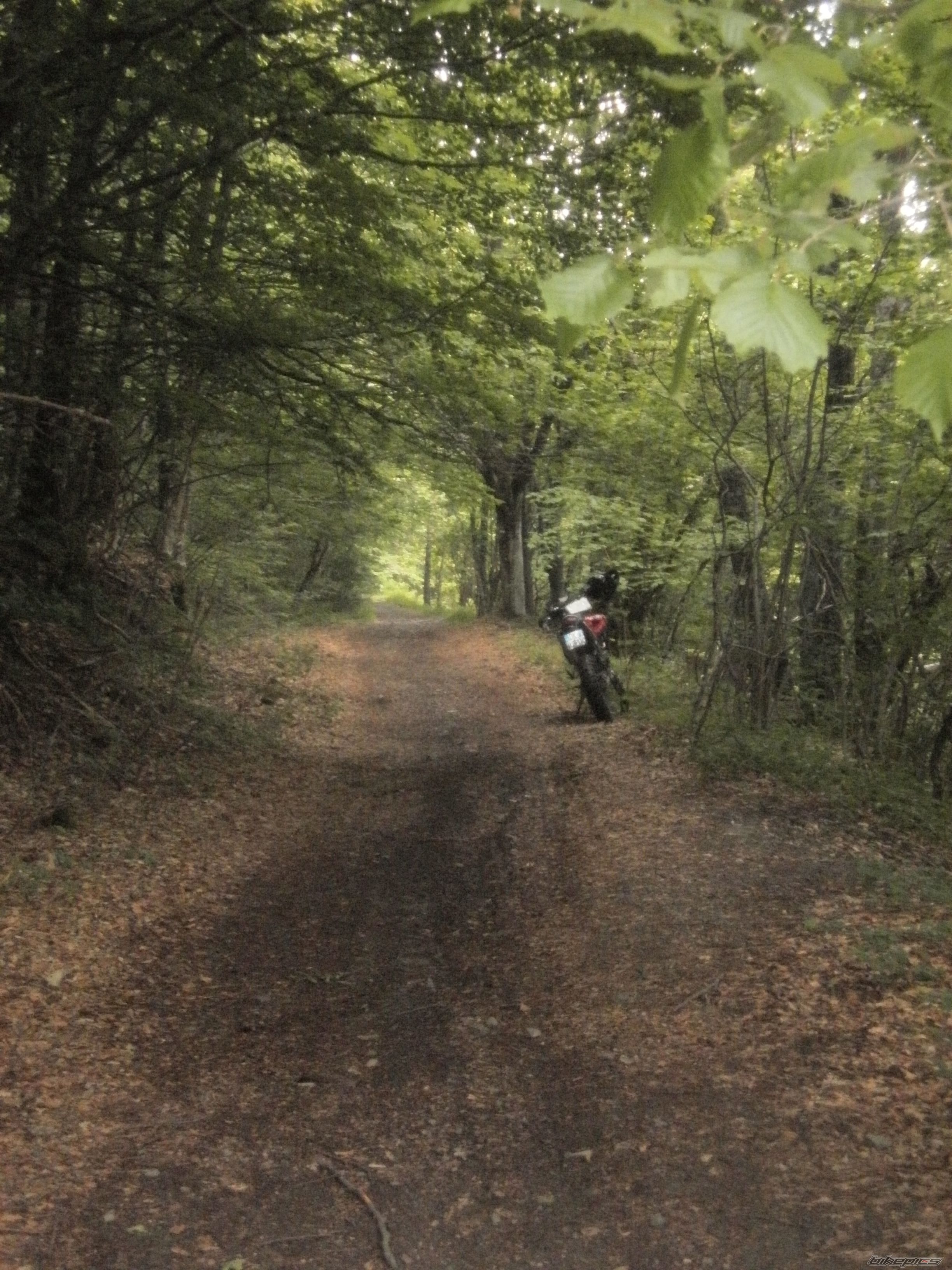 Photo 2214011