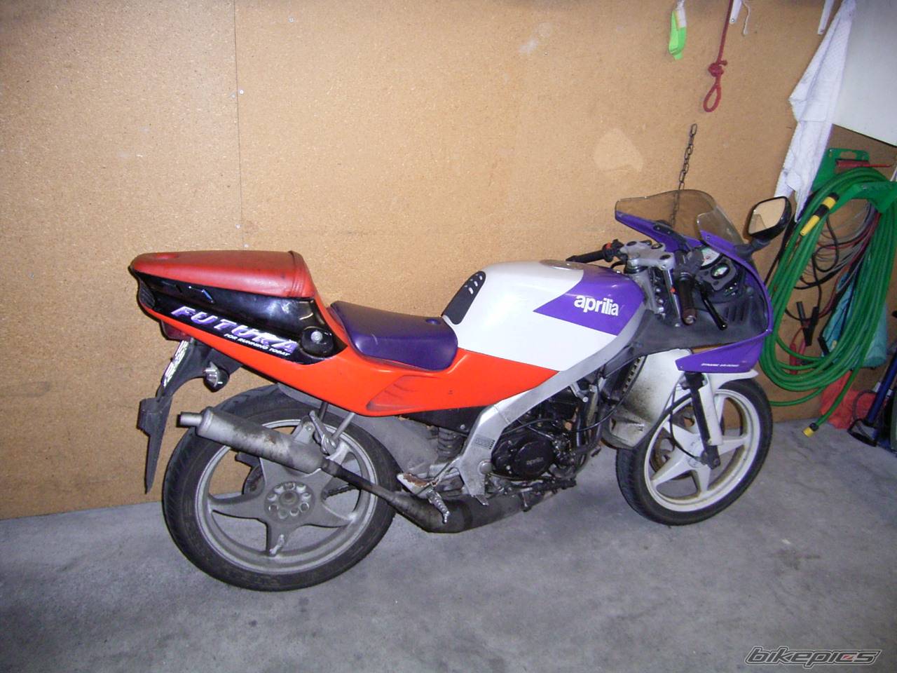 Photo 221410