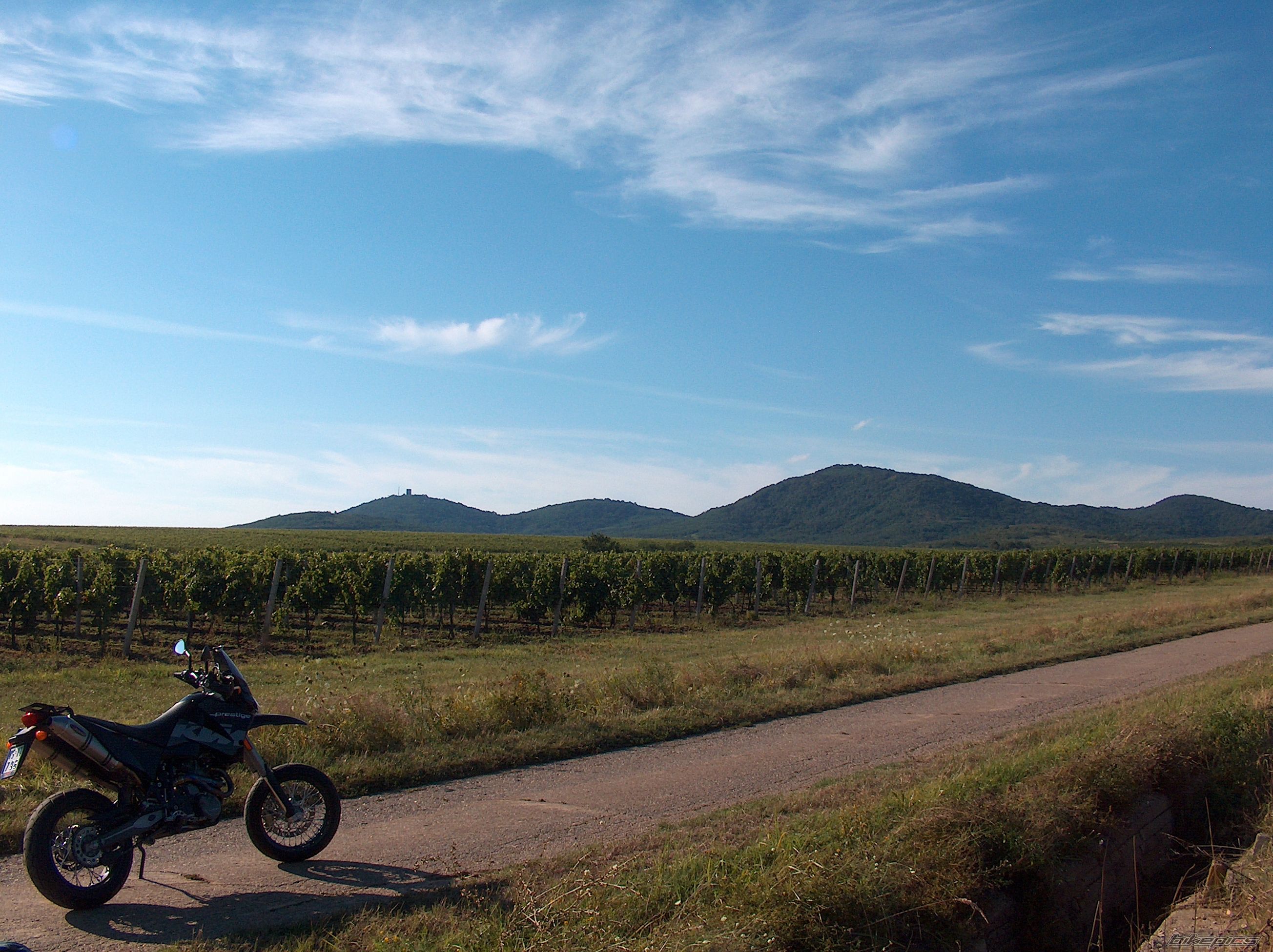 Bike Photo 2214156