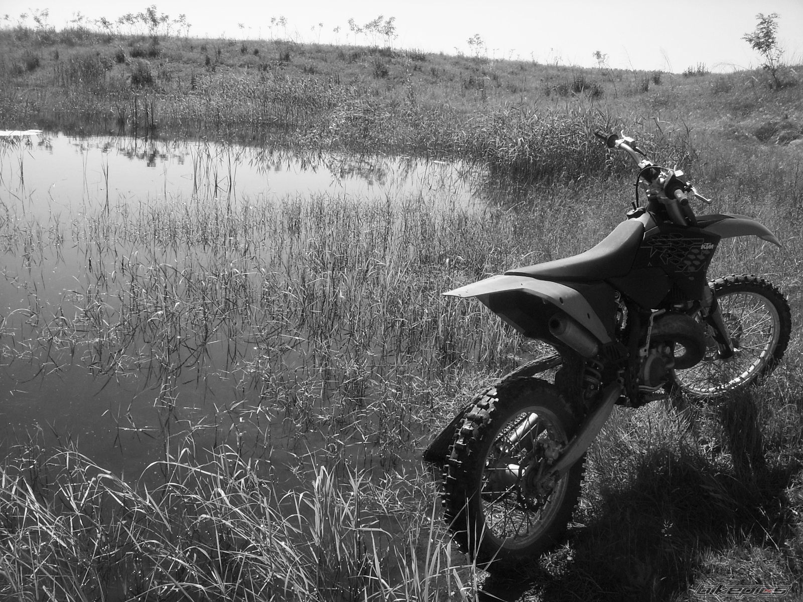 Bike Photo 2214186