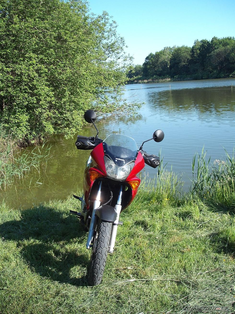 Photo 2214269