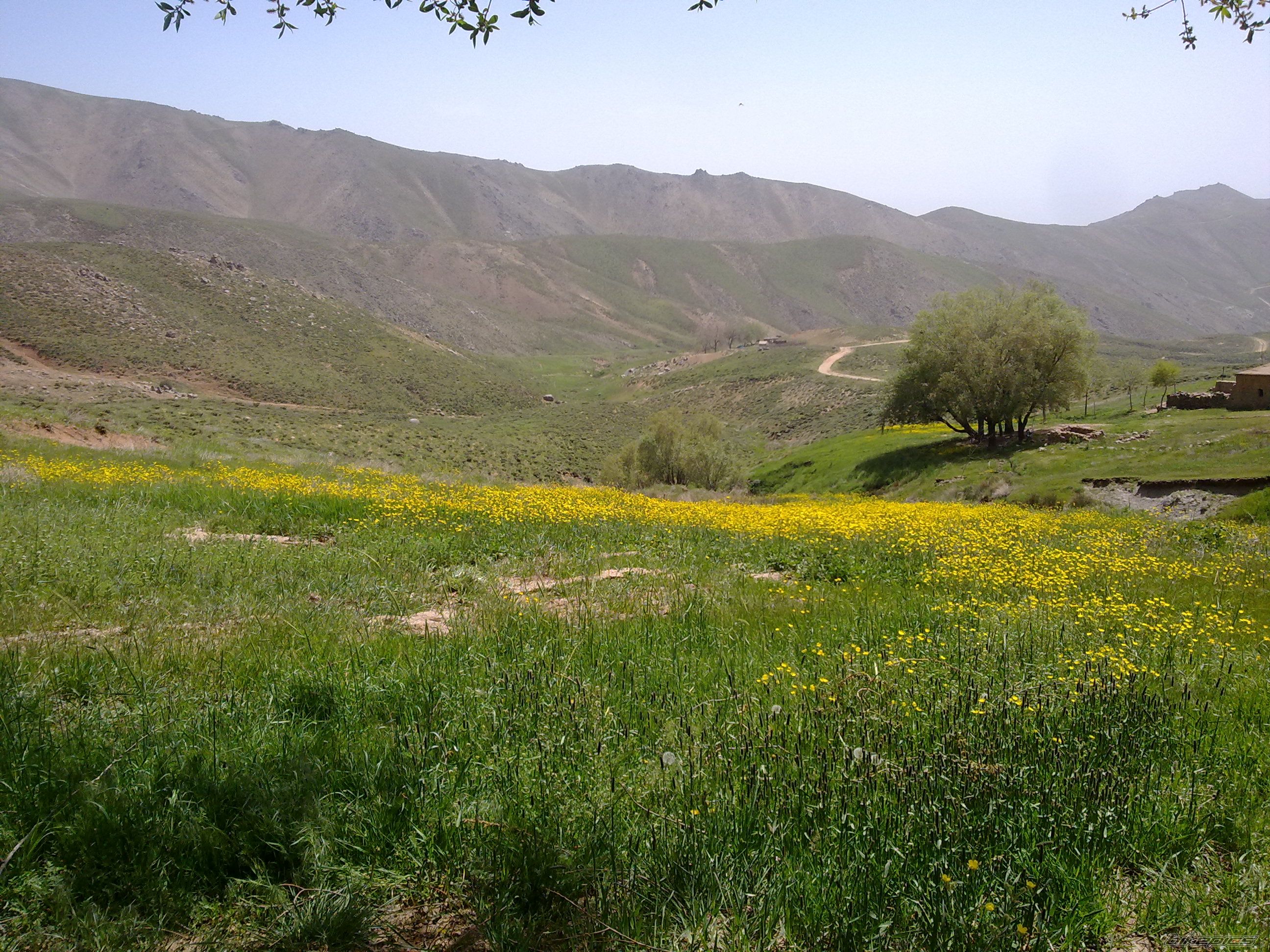 Photo 2214375