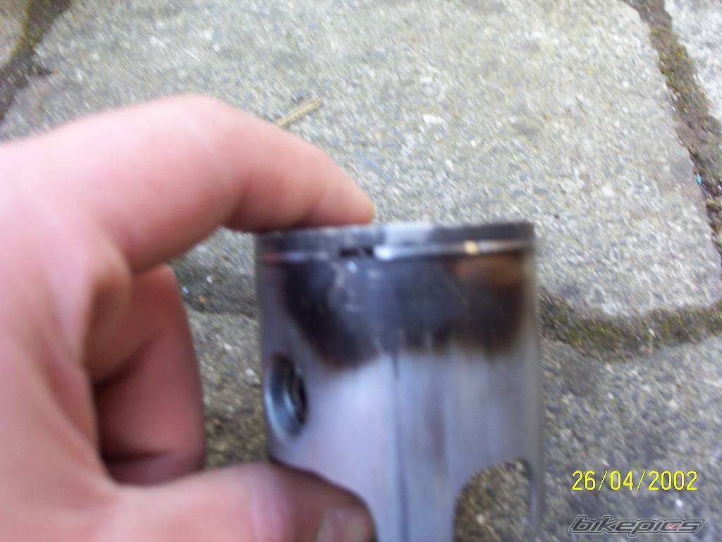 Photo 221444