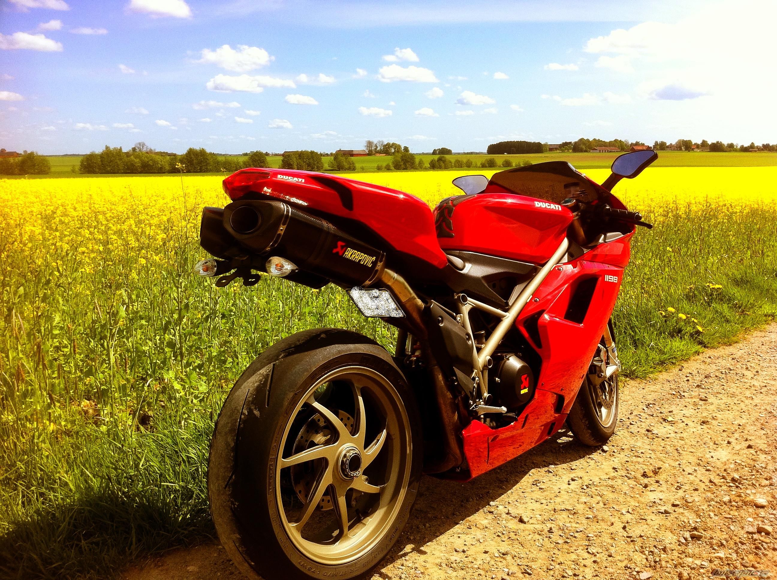 Photo 2214562