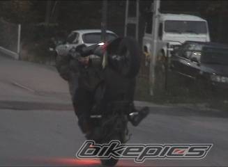 Photo 221469