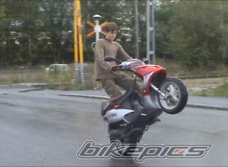 Photo 221471
