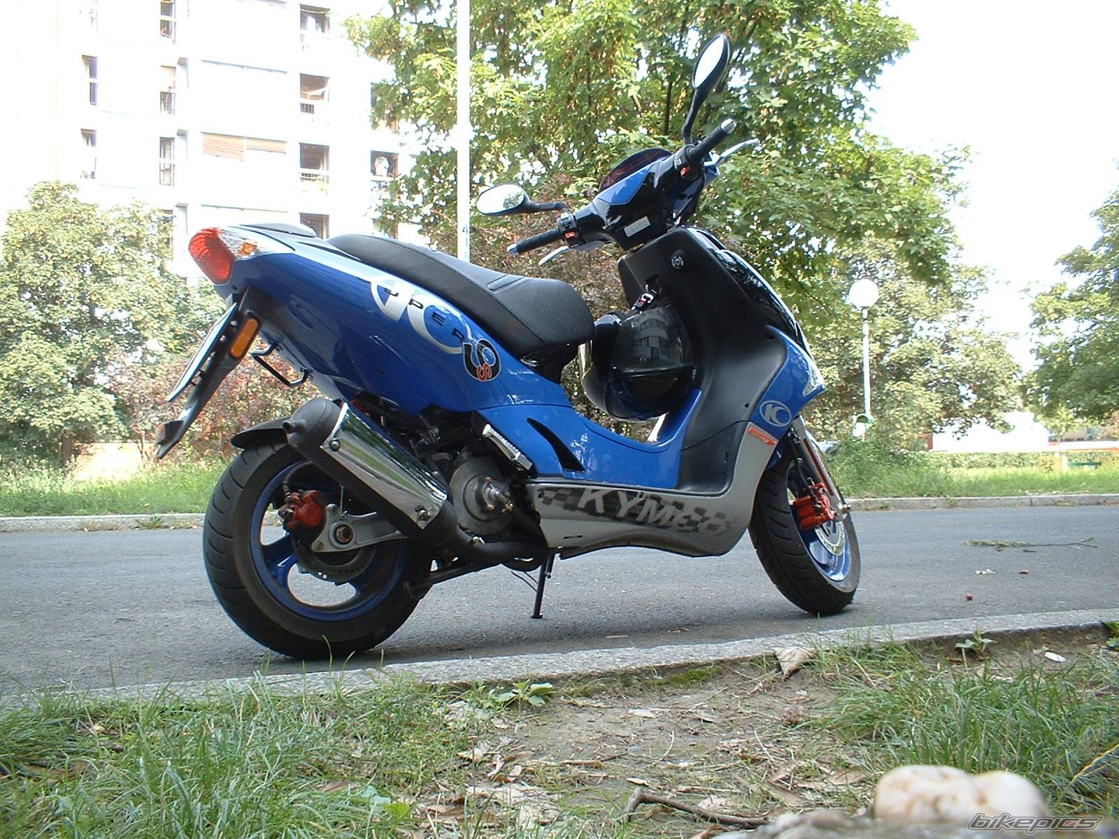 Photo 221480