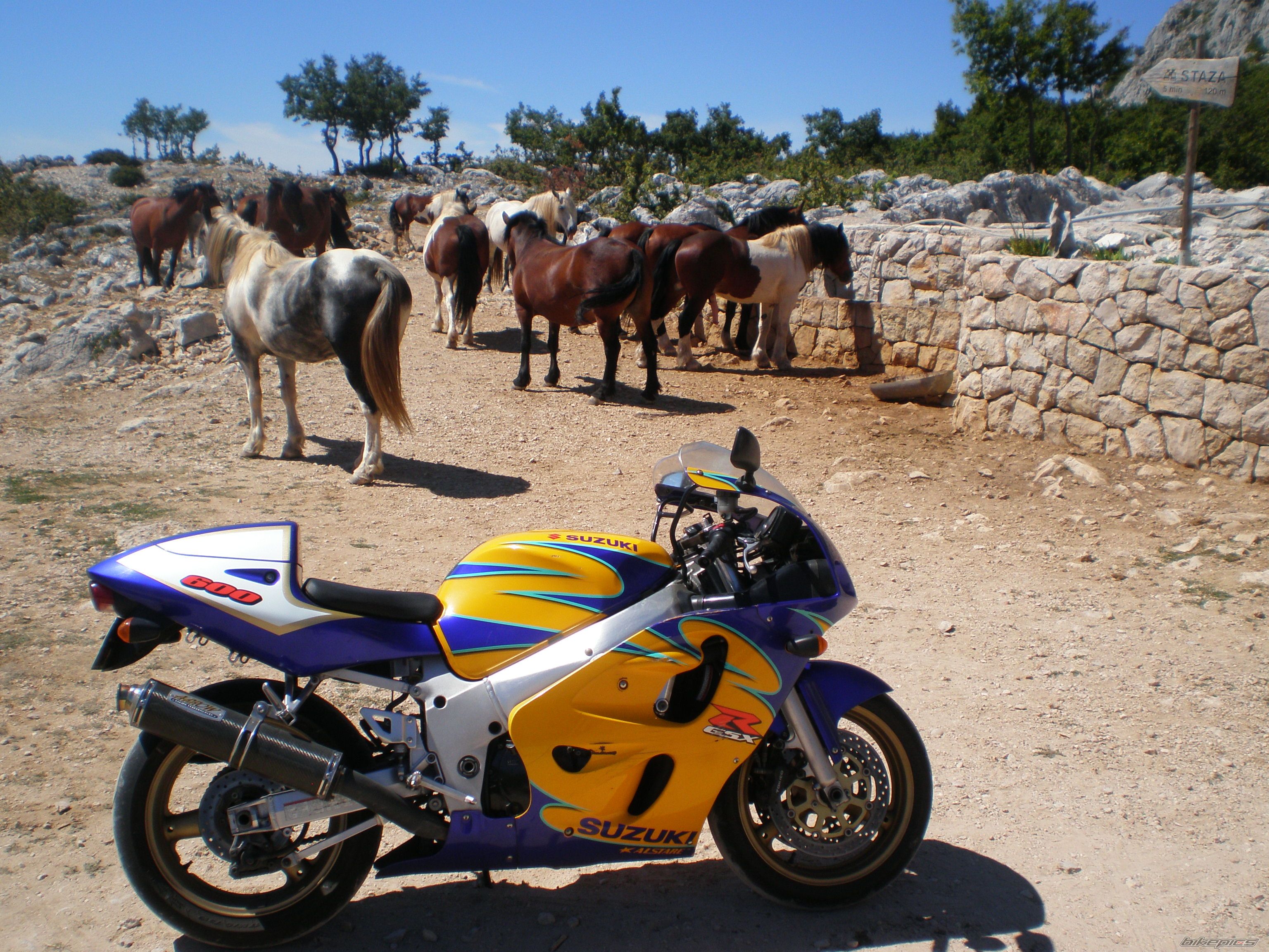 Bike Photo 2214824
