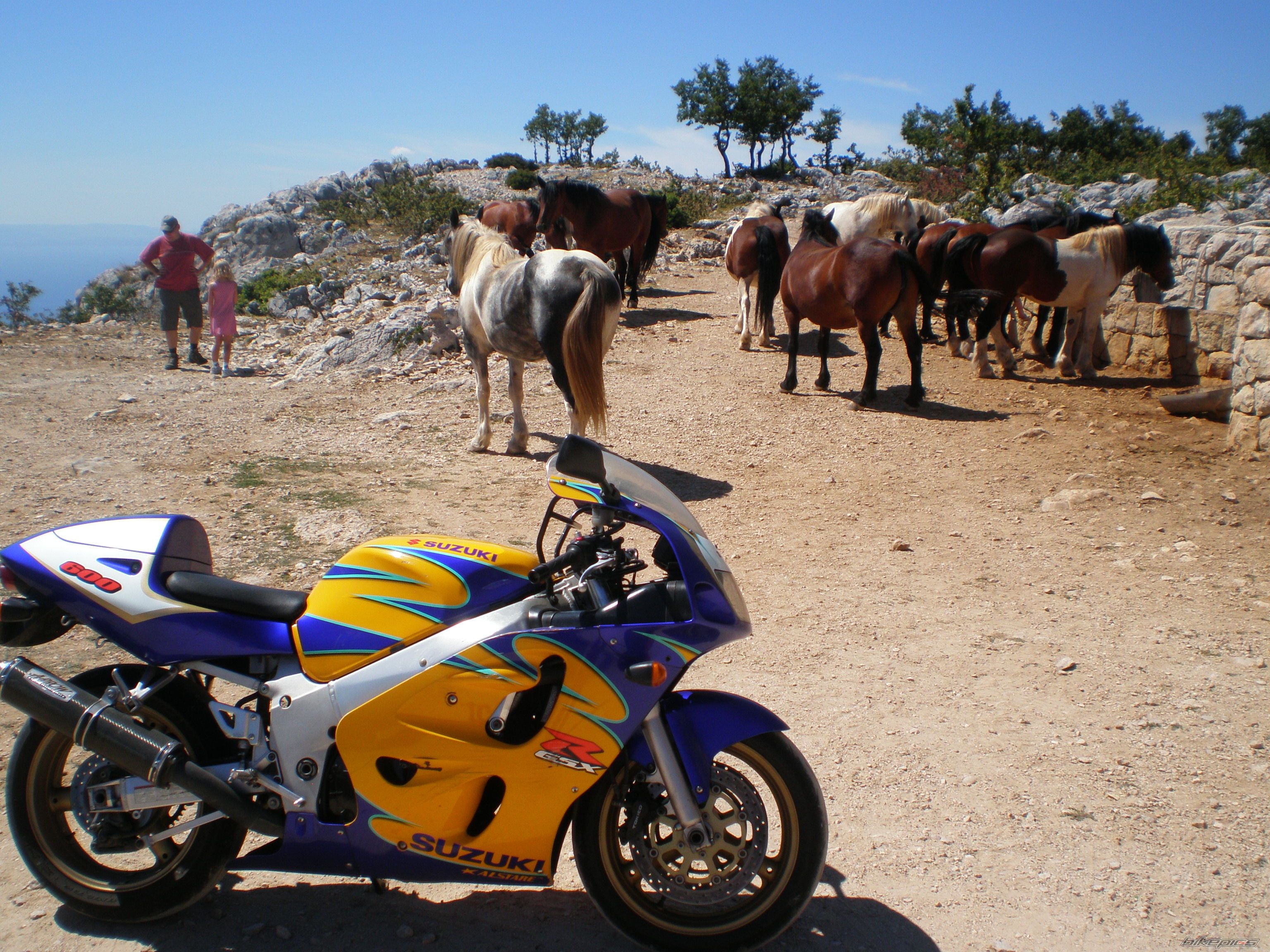 Bike Photo 2214825