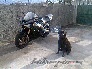 Bike Photo 2214875