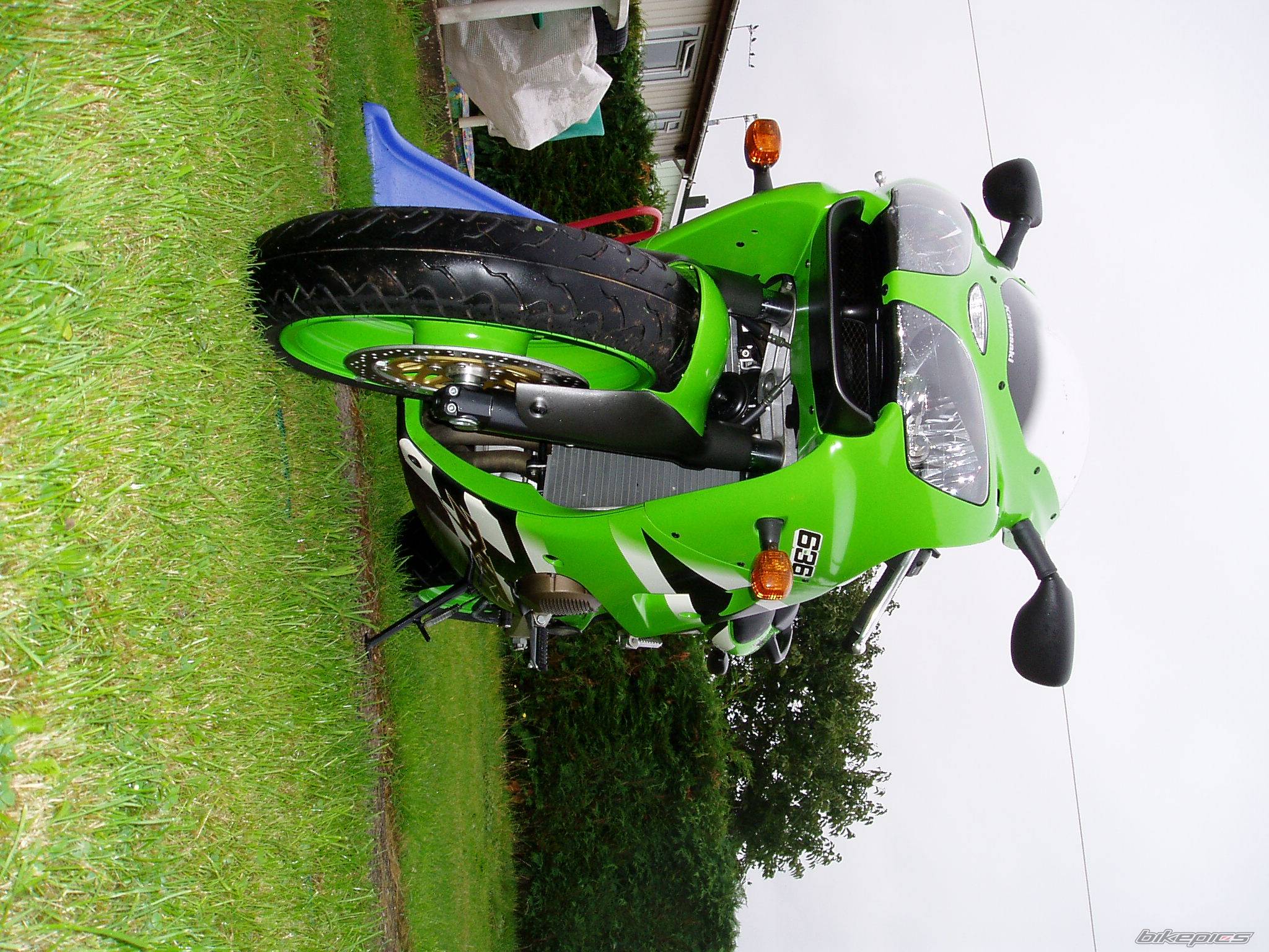 Photo 221499