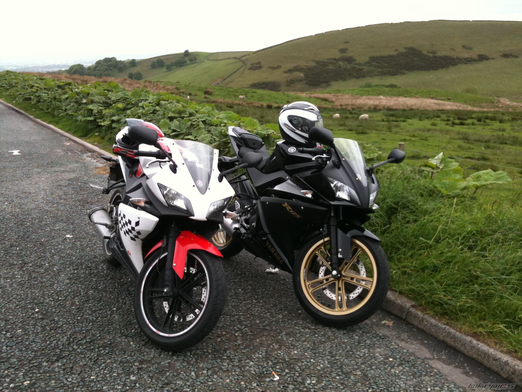Photo 2215039
