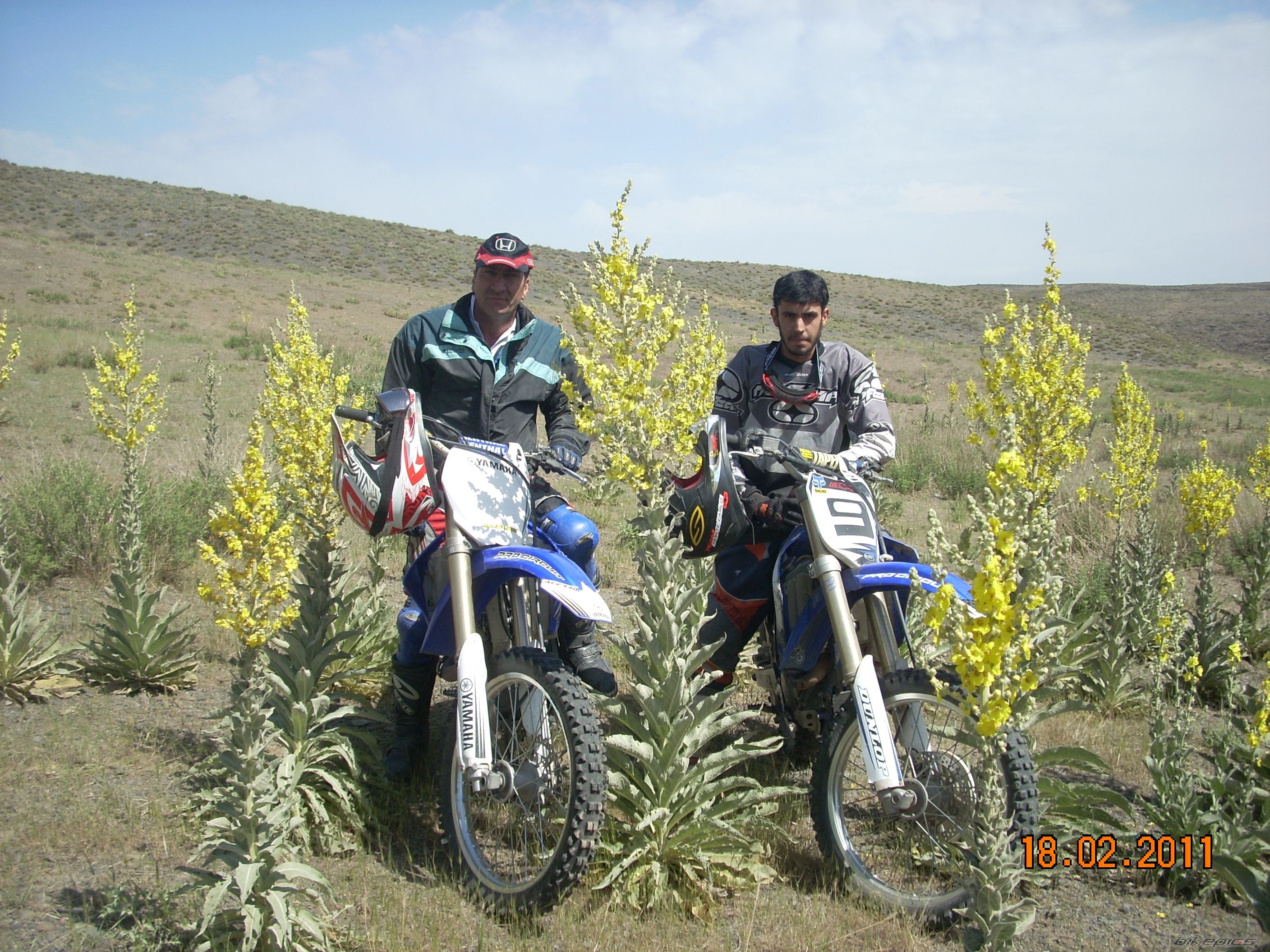 Photo 2215053