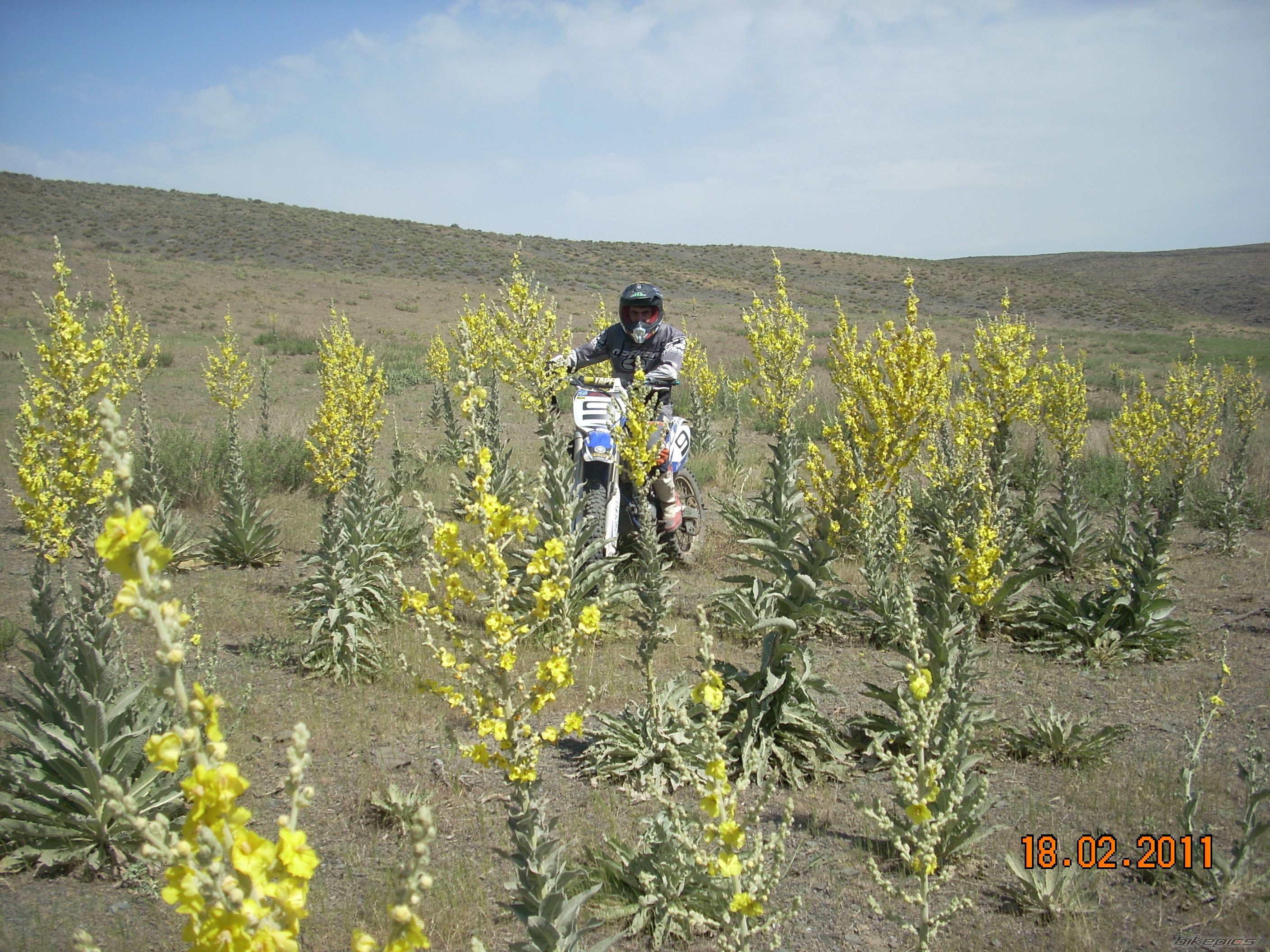 Bike Photo 2215074