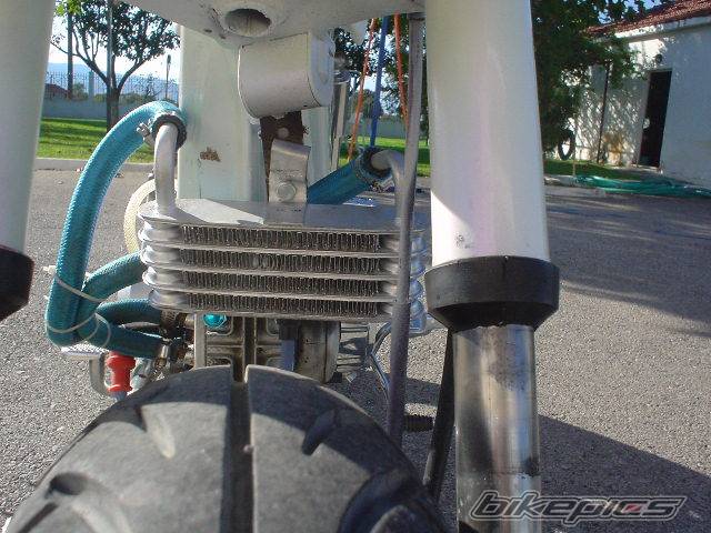 Bike Photo 221513