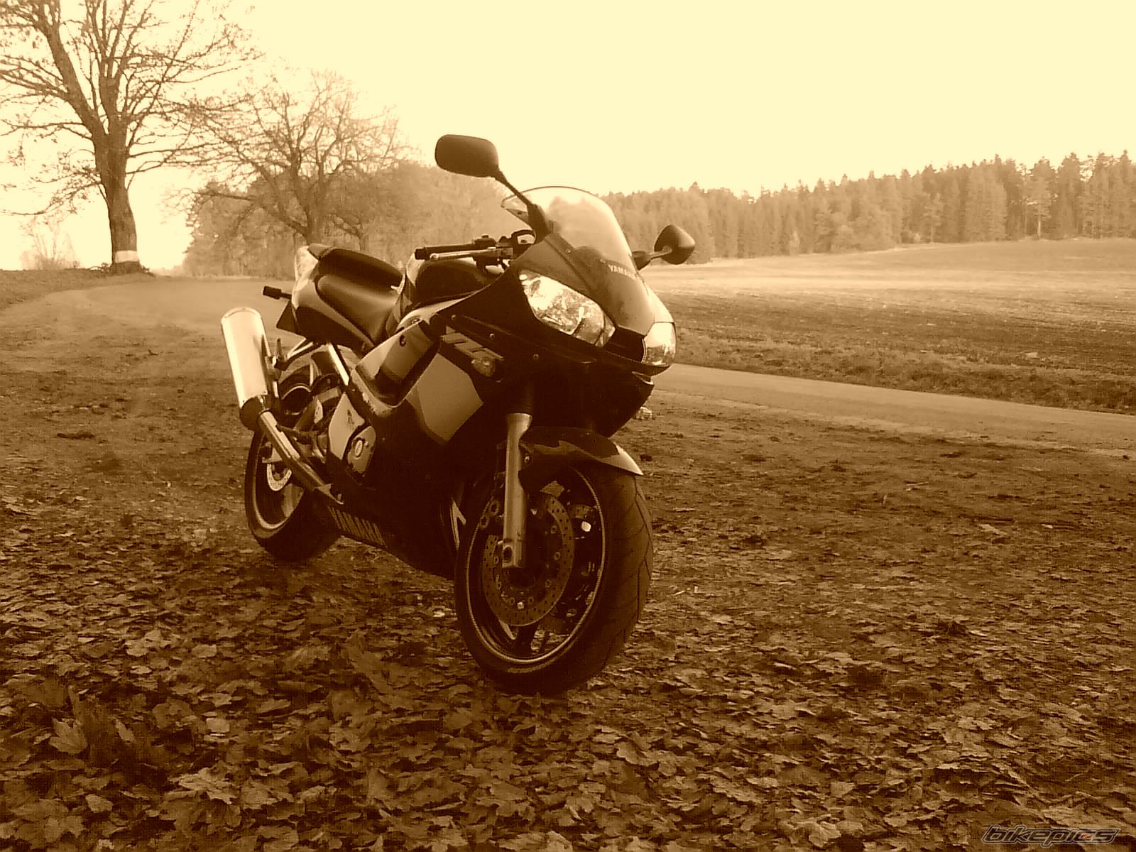 Photo 2215171