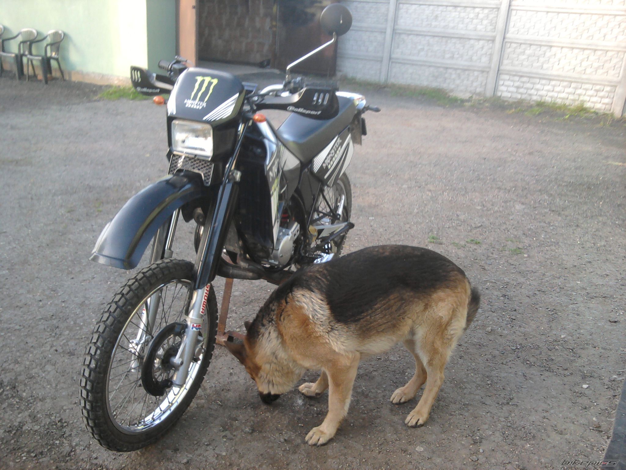 Photo 2215234