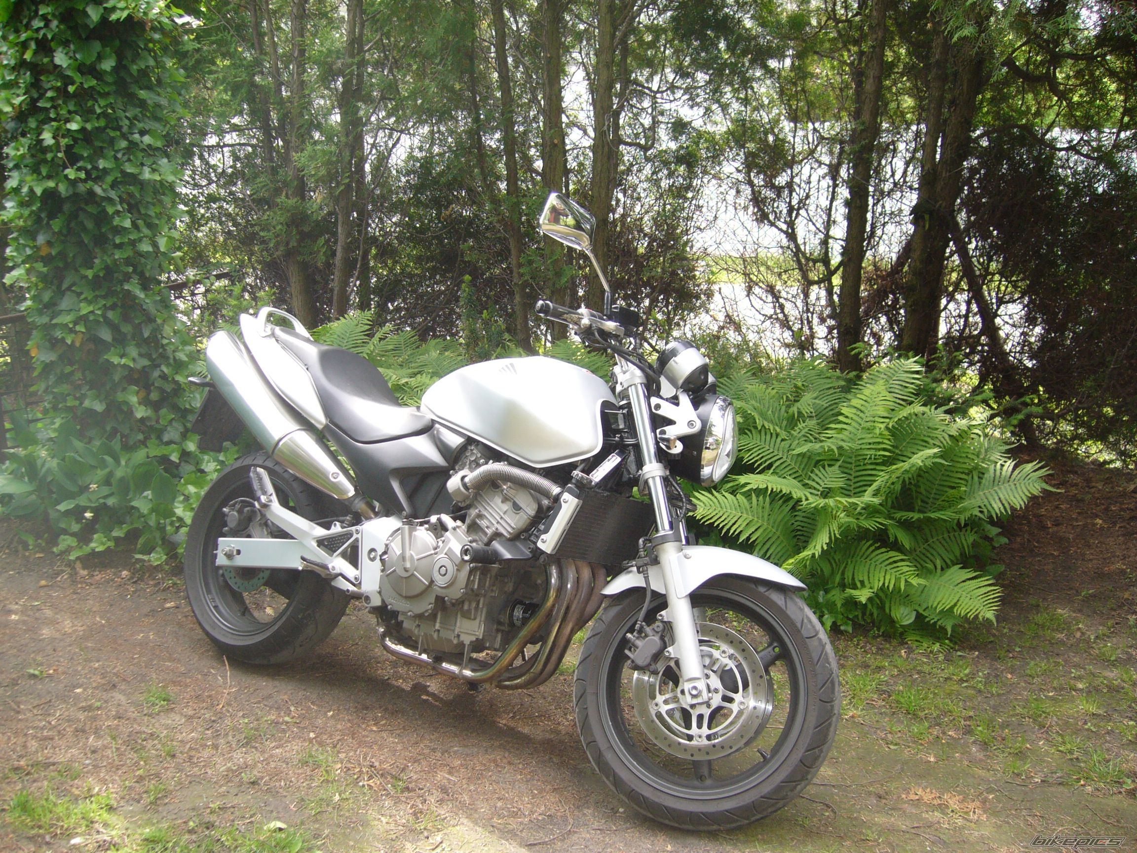 Photo 2215243