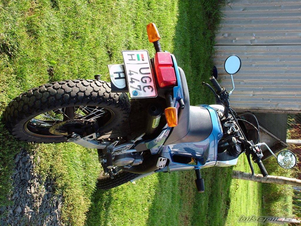 Photo 221528