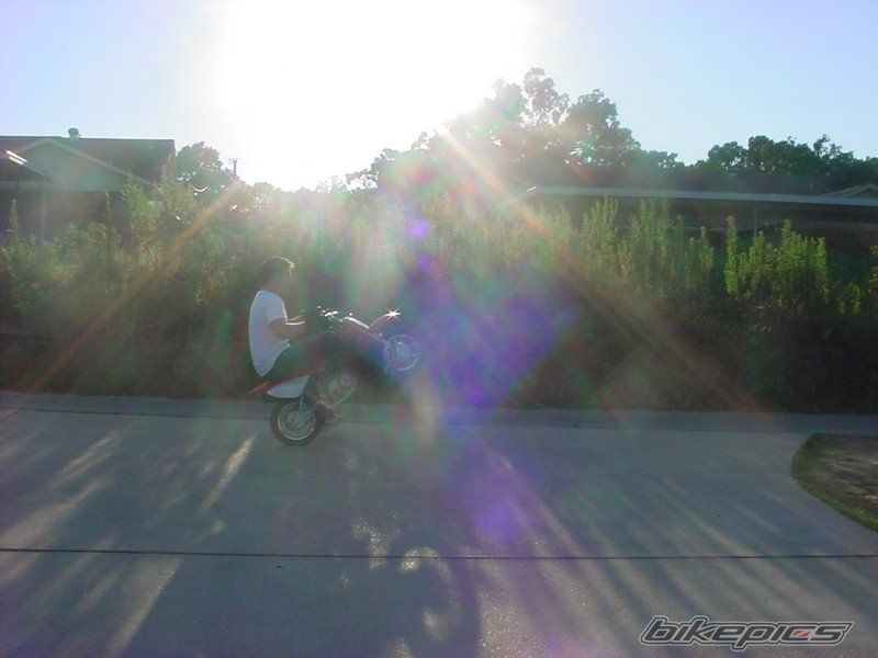 Photo 2215345