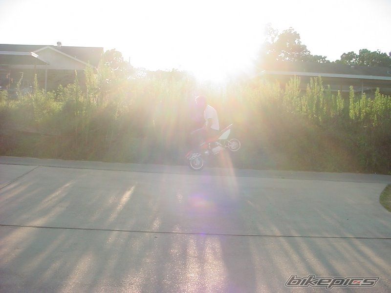 Photo 2215347