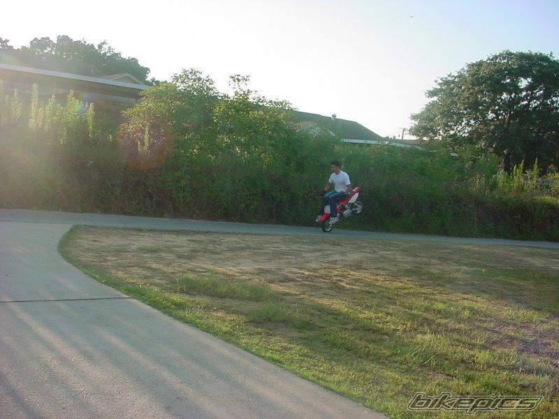 Photo 2215348