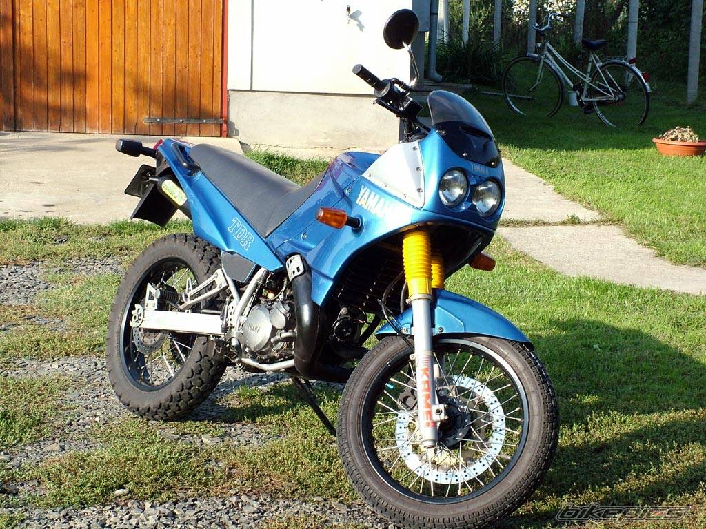 Photo 221536