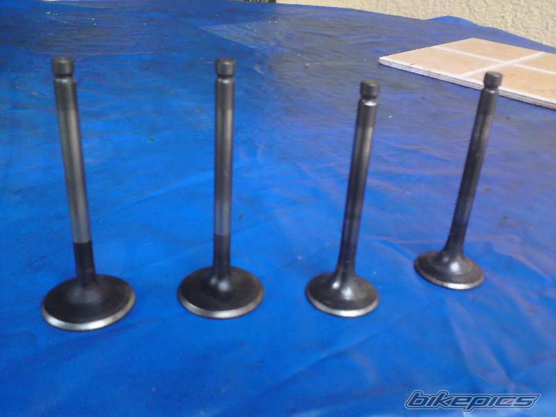 Photo 2215418