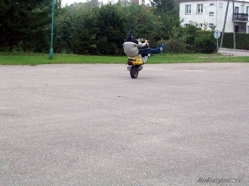 Photo 221549