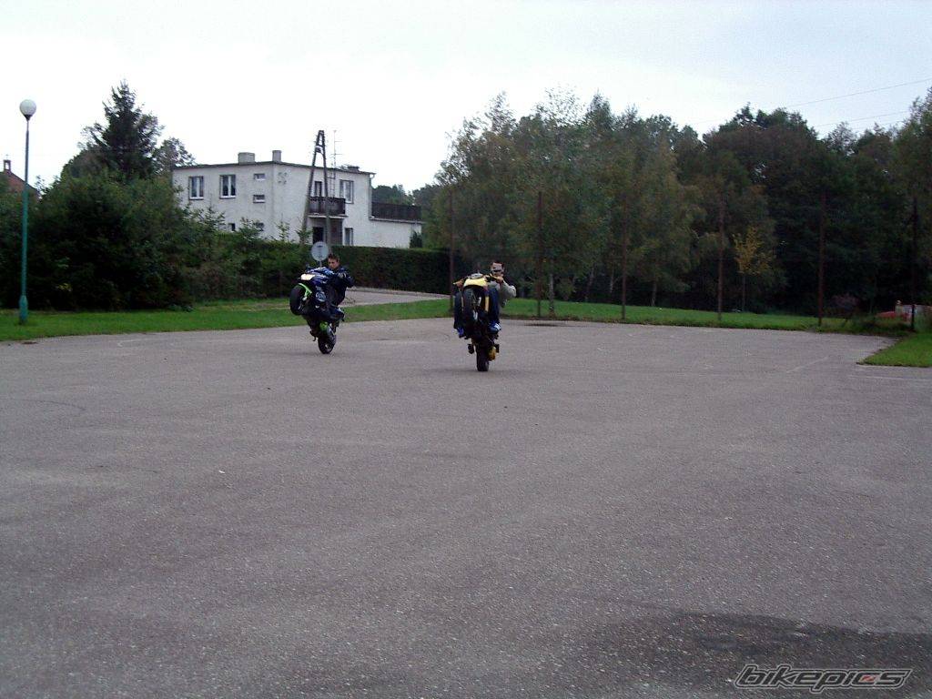 Photo 221550