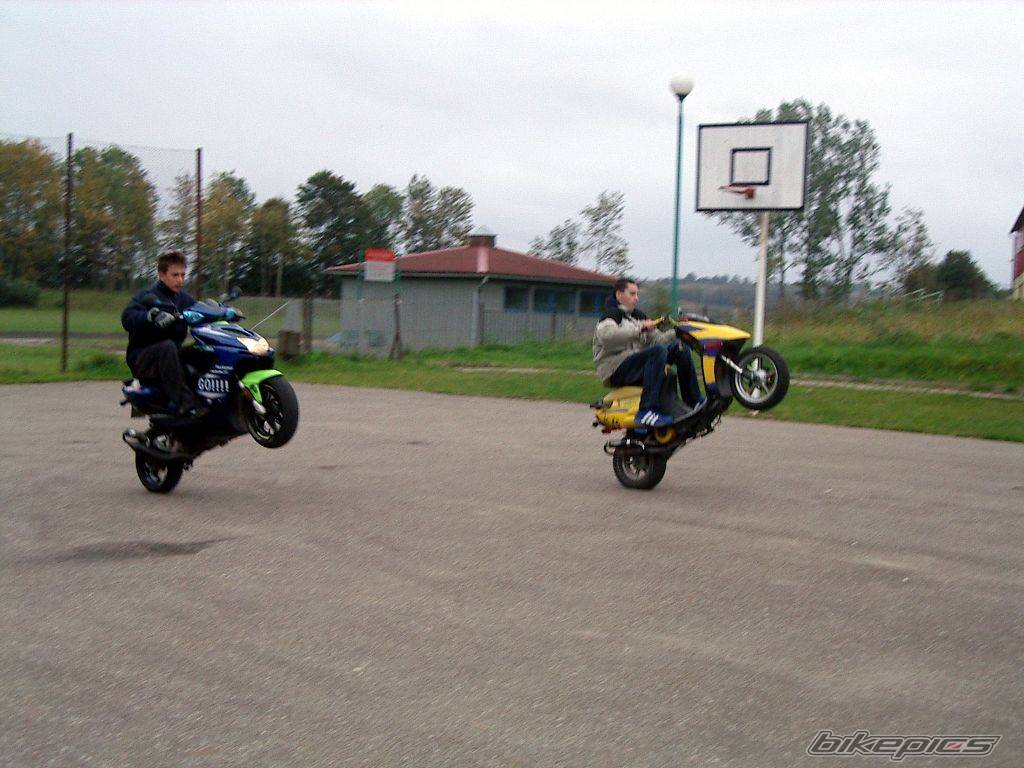 Photo 221551