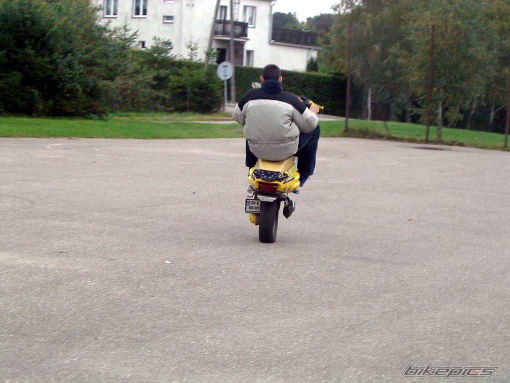 Photo 221552