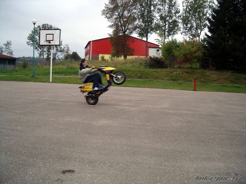 Photo 221554