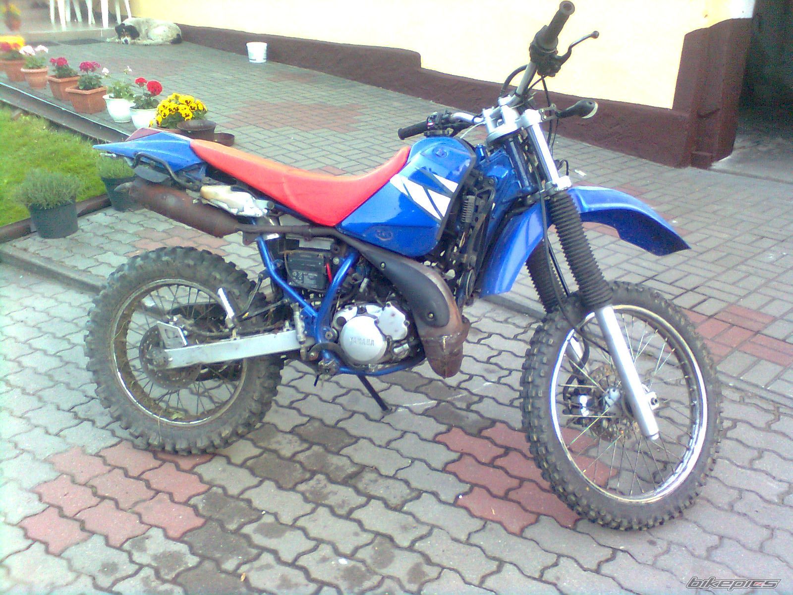 Photo 2215557