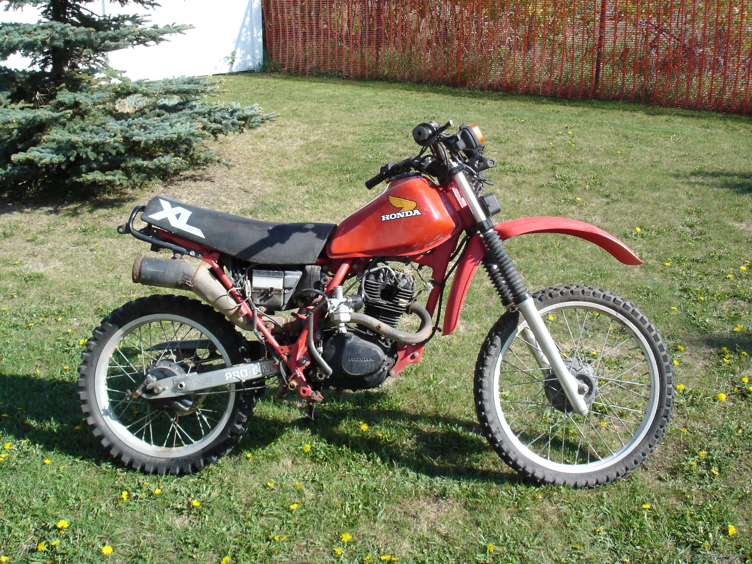Bike Photo 2215624