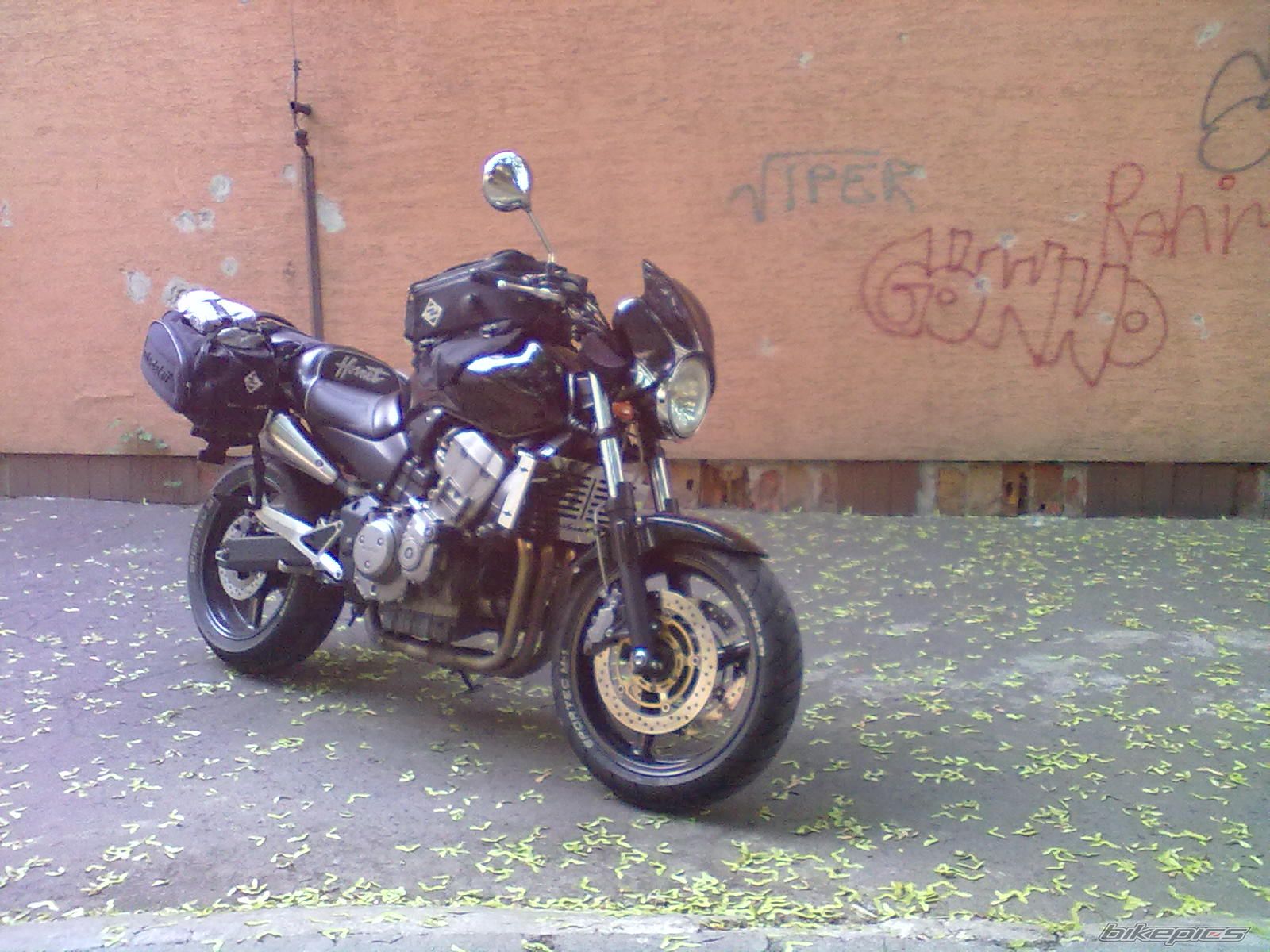 Photo 2215681