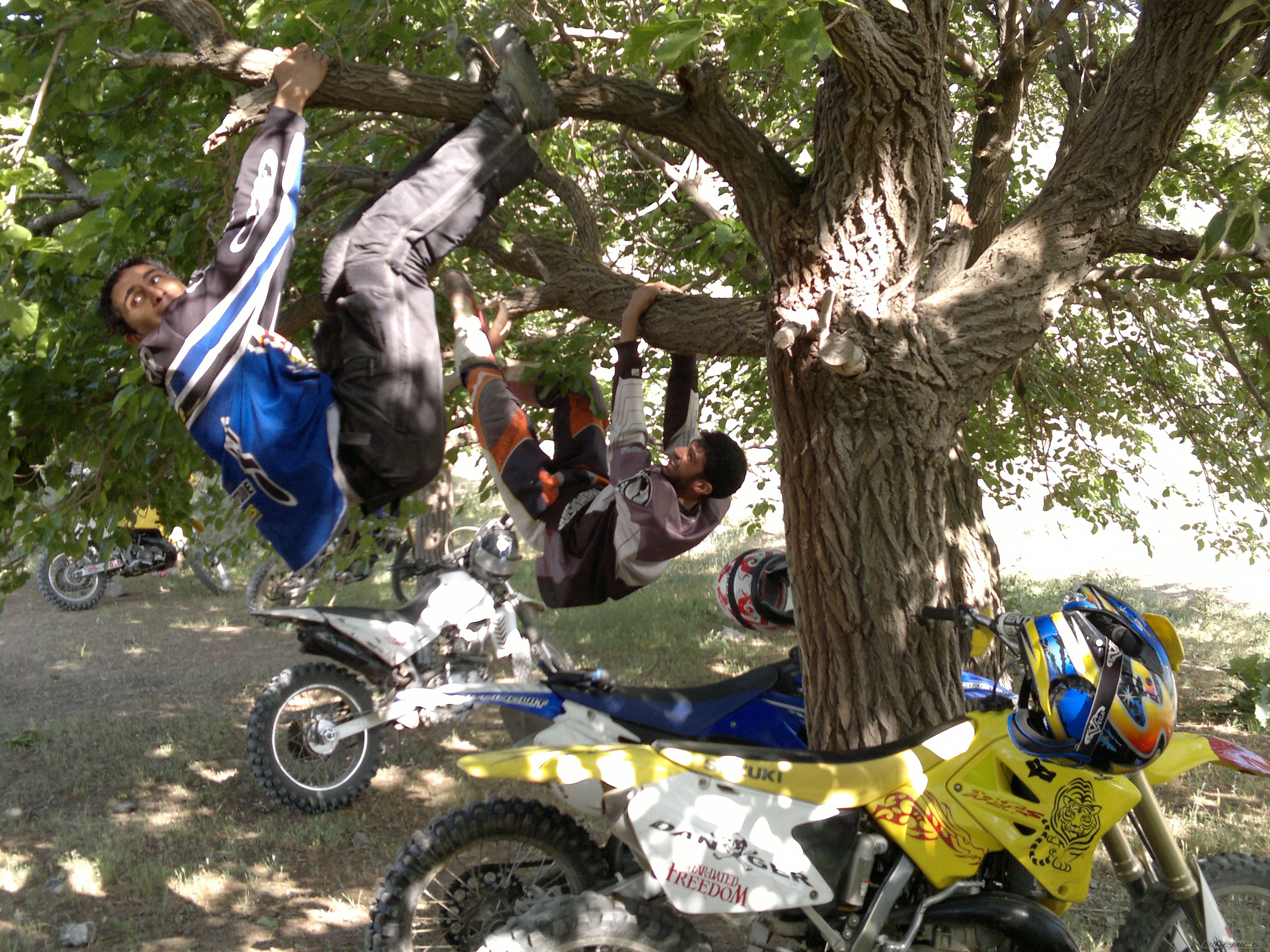 Photo 2215693