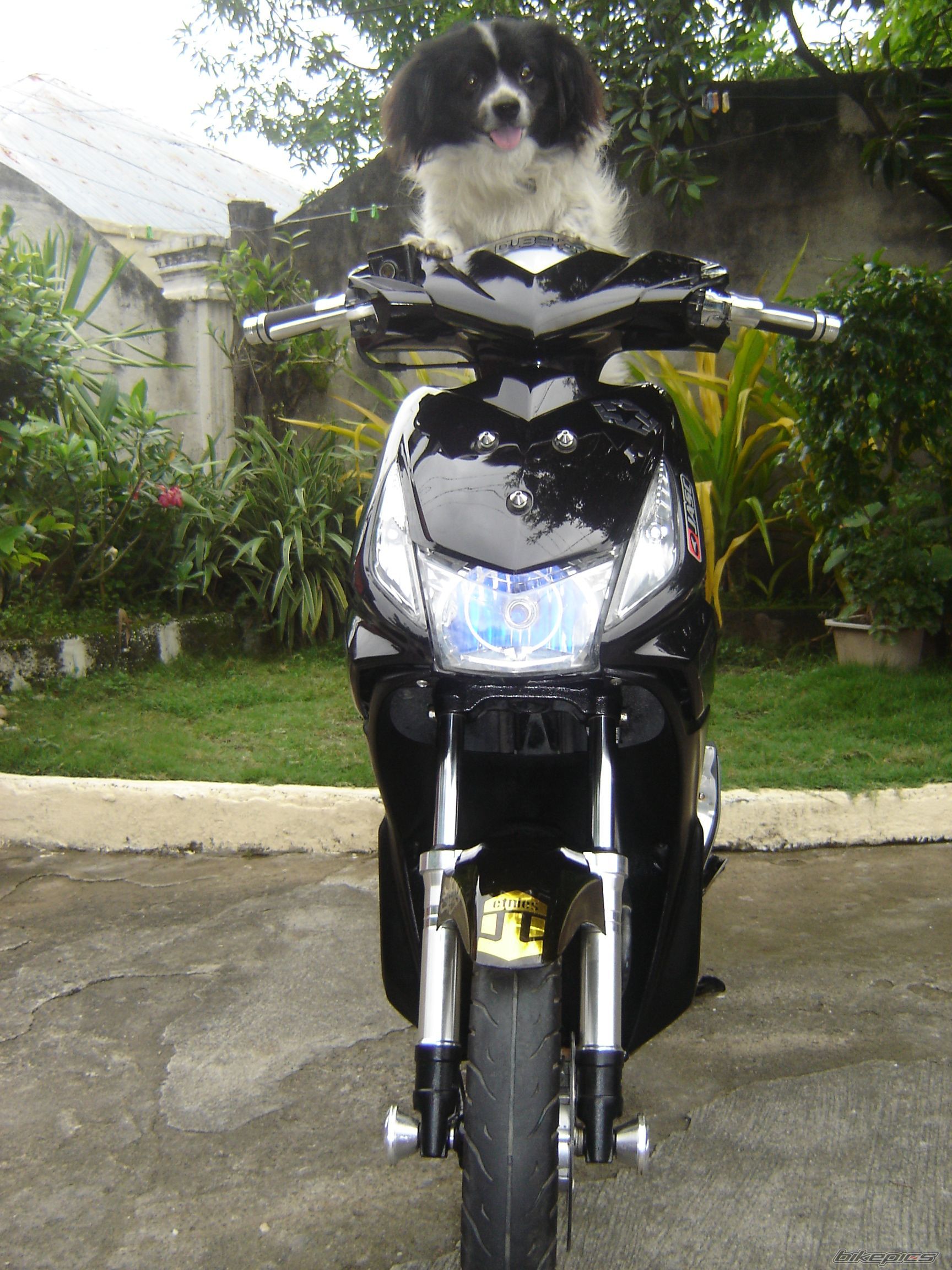Photo 2215783