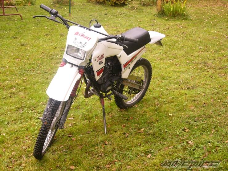 Photo 221595