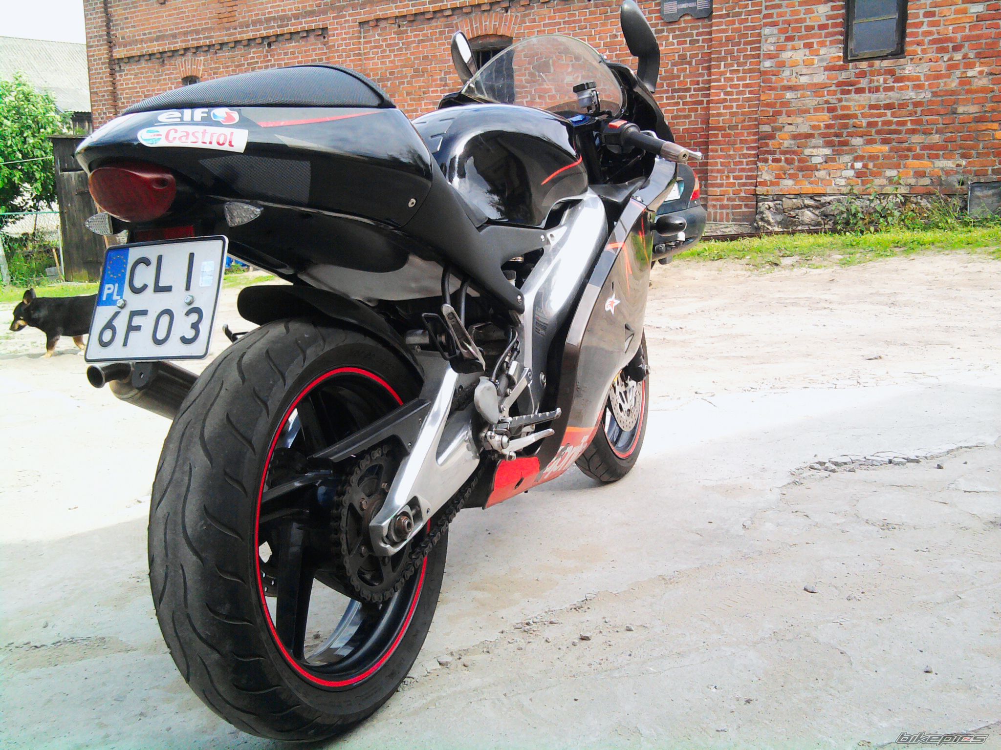 Photo 2215961