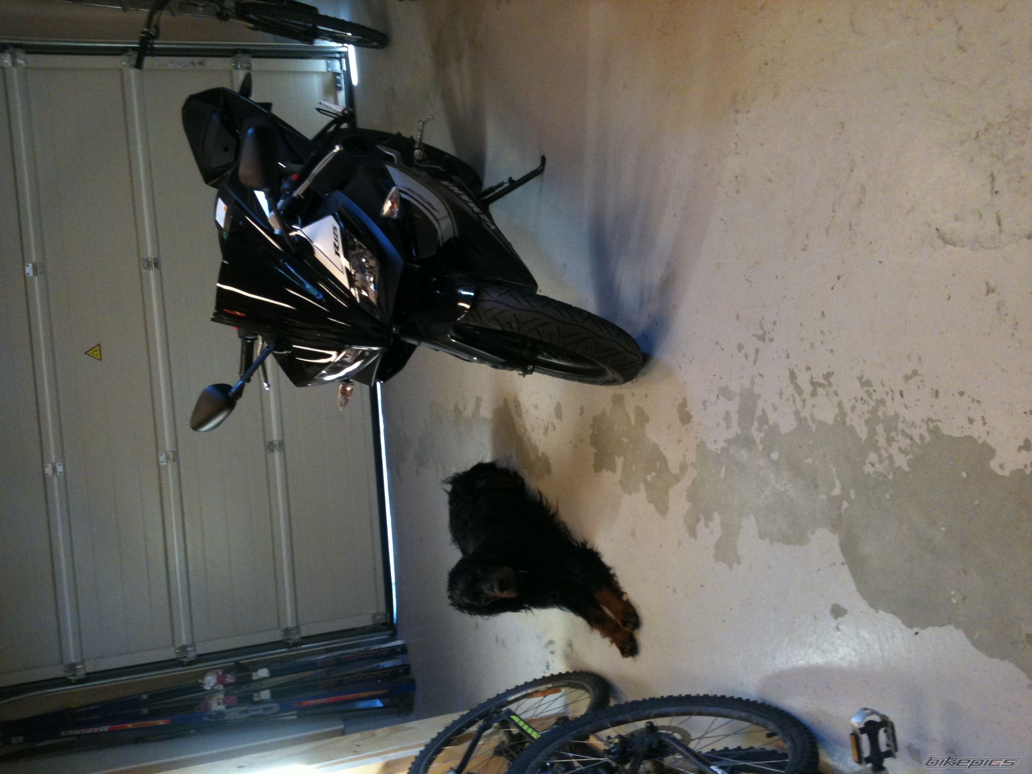 Photo 2216271