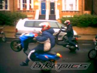 Photo 221639