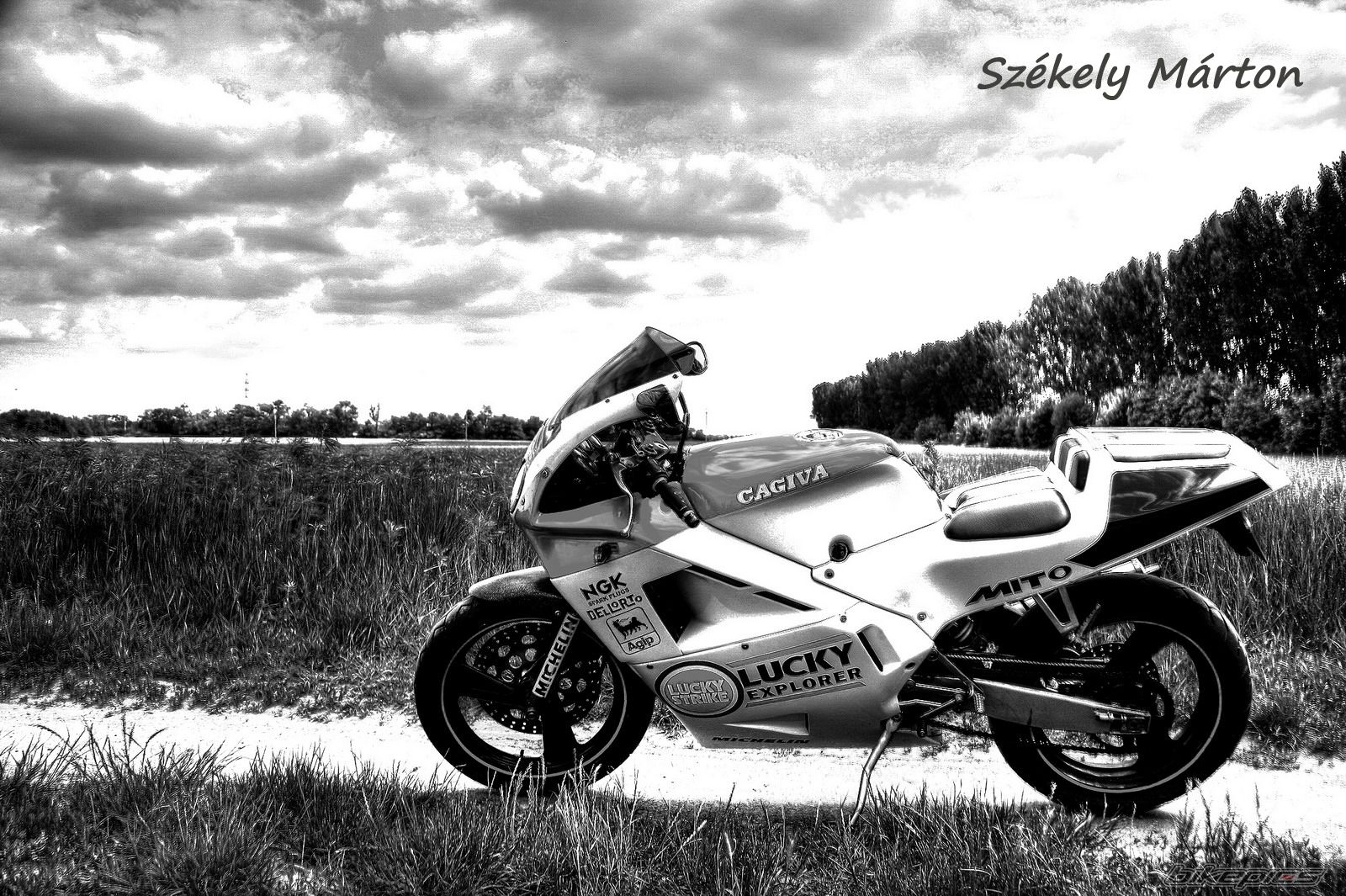 Photo 2216656