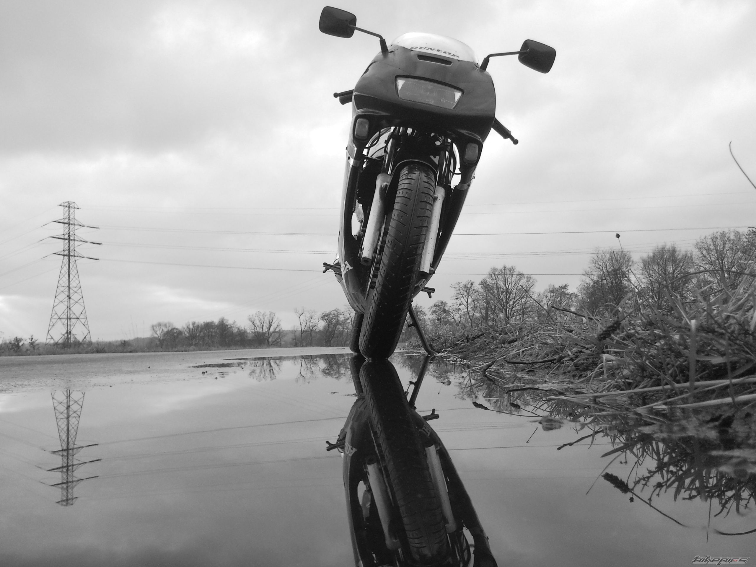 Photo 2216679