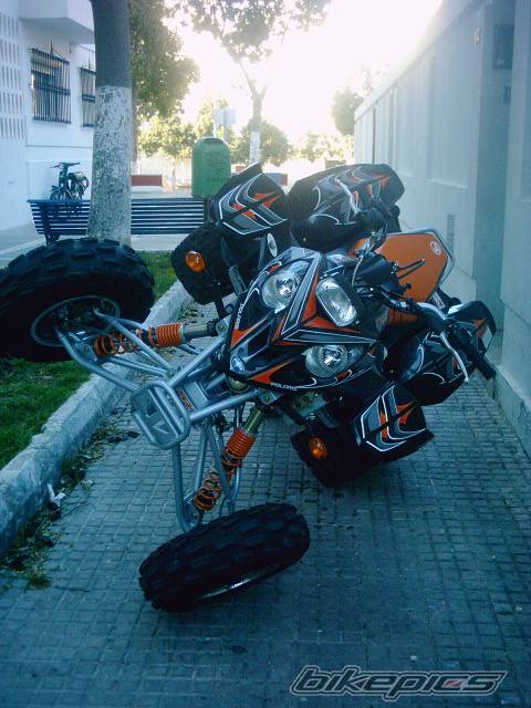 Photo 221672