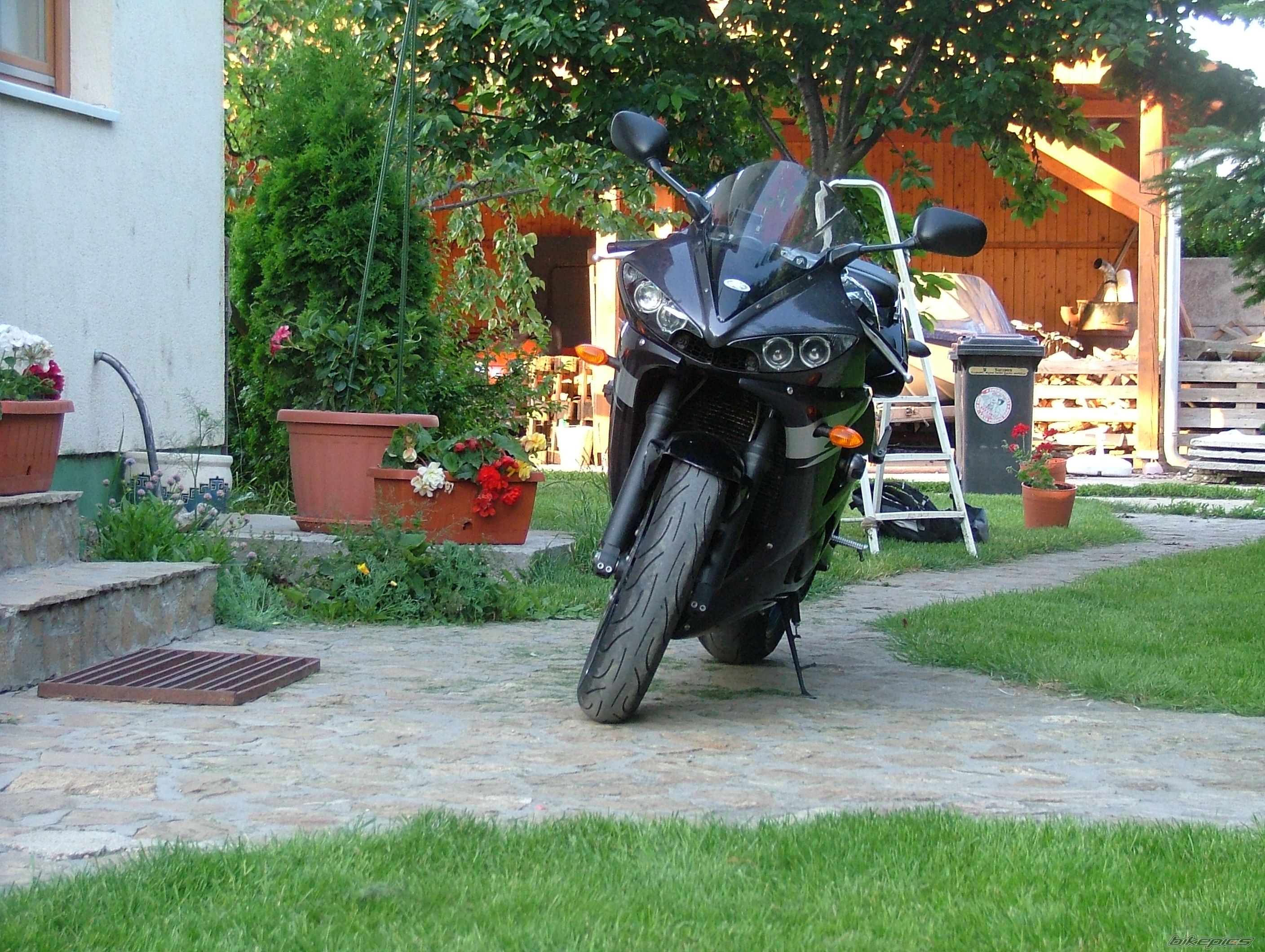 Photo 2216915