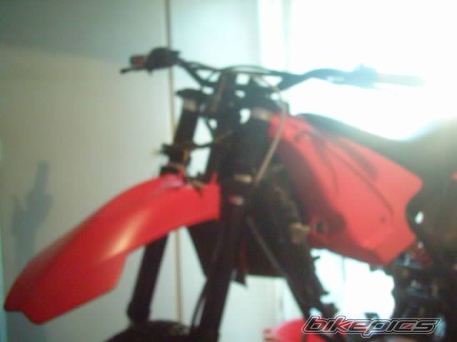 Photo 221696