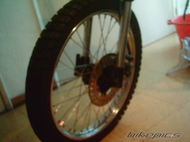 Photo 221697