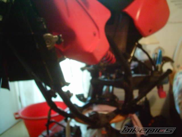Photo 221698